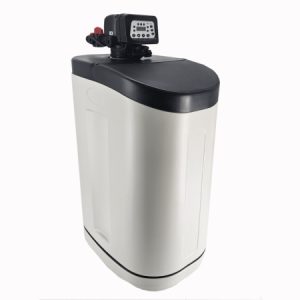 Omekšivač vode Cabinet 1017  2S-BYPASS FLOW RESIN (10L-C100E)